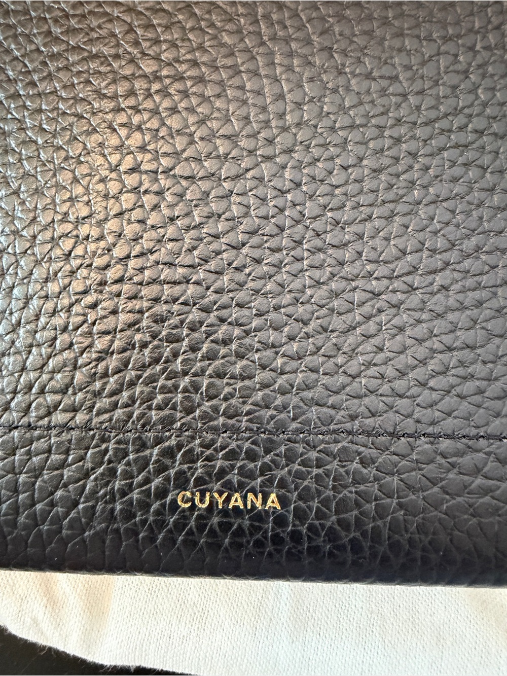 Cuyana Classic Easy Zipper Tote w/ Insert, Strap, Pouch - Black & Blush - Picture 2 of 16